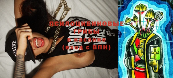 таблы Горняк