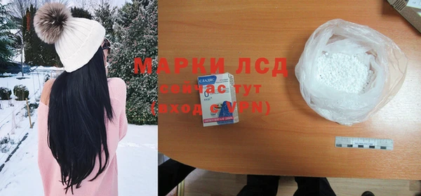 стаф Горнозаводск
