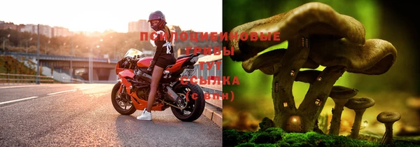 таблы Горняк