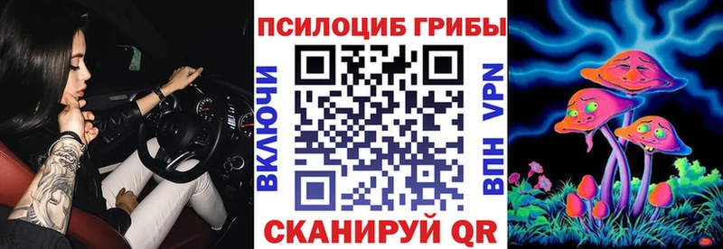 Купить закладки  Мыски  Псилоцибиновые грибы Psilocybine cubensis 